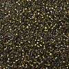 TOHO Round Seed Beads SEED-JPTR11-0262-2