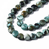 Natural African Turquoise(Jasper) Beads Strands G-T108-66-3
