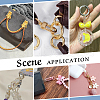   Alloy Clasps Sets FIND-PH0018-31-6
