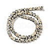 Natural Dalmatian Jasper Beads Strands G-M403-A31-02-3