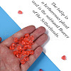 Transparent Acrylic Beads MACR-S373-95-B06-3