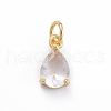 Brass Micro Pave Cubic Zirconia Pendants ZIRC-E164-64G-D-1