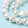 Natural Cultured Freshwater Pearl Beads Strands PEAR-E018-69-4
