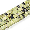 Natural Serpentine Beads Strands G-T140-50-4