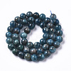 Natural Apatite Beads Strands G-R462-050C-AB-2