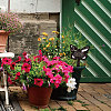 Acrylic Garden Stake AJEW-WH0364-012-7