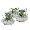 Irregular Natural Celestite/Celestine Home Display Decorations G-WH0018-035-5