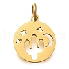 304 Stainless Steel Charms STAS-Z119-07G-1