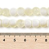 Frosted Crackle Glass Beads Strands X1-GLAA-U001-6mm-M11-4