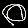 Natural Trochid Shell/Trochus Shell Beads Strands SHEL-XCP0001-11-2