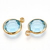 K9 Glass Charms X1-GLAA-T023-37A-05-2