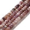 Natural Lepidolite/Purple Mica Stone Beads Strands G-E444-55-1
