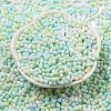 Macaron Color Opaque Frosted Glass Seed Beads X1-SEED-K009-12B-03-2
