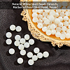 Natural Trochid Shell/Trochus Shell Beads Strands SHEL-WH0001-008-5