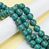 Natural Howlite Beads Strands G-C180-10-4