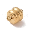 Ion Plating(IP) 304 Stainless Steel Magnetic Clasps with Loops X-STAS-P206-03G-1