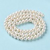 Natural Cultured Freshwater Pearl Beads Strands PEAR-E018-99-3