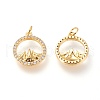 Brass Micro Pave Clear Cubic Zirconia Charms ZIRC-L098-025G-2