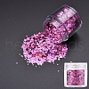 Holographic Nail Art Sequins Glitter MRMJ-K006-08-05-1