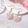 Natural Mixed Gemstone & 304 Stainless Steel Dangle Earrings for Women EJEW-JE06237-3