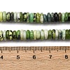 Natural Serpentine Jade Beads Strands G-L624-H13-6x2mm-5