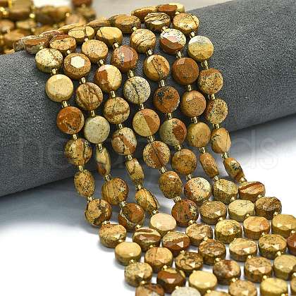 Natural Picture Jasper Beads Strands G-C116-A142-01-1
