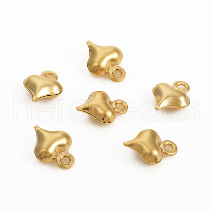 304 Stainless Steel Charms STAS-I149-05C-G-1
