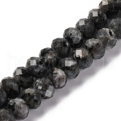 Natural Larvikite Beads Strands G-K380-A46-01-1