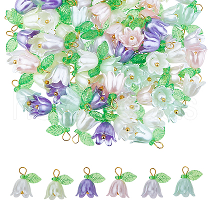 Acrylic Pendant PALLOY-FH00041-1