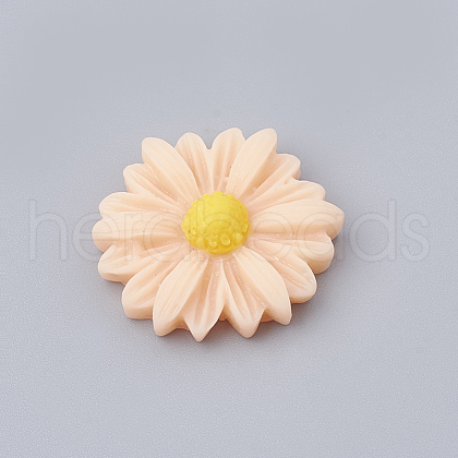Resin Cabochons CRES-N007-10H-1