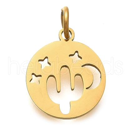304 Stainless Steel Charms STAS-Z119-07G-1