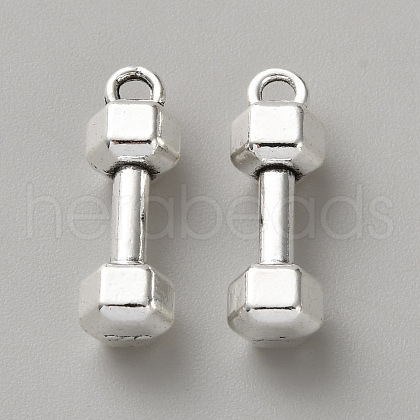 Tibetan Style Alloy Pendants FIND-WH0609-92AS-04-1