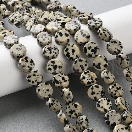 Natural Dalmatian Jasper Beads Strands G-B138-B02-01-1