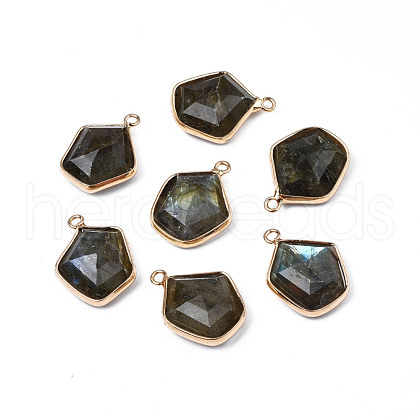 Natural Labradorite Pendants G-S359-381-1