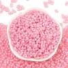 Baking Paint Glass Seed Beads SEED-L011-09A-26-2