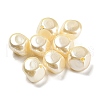 ABS Plastic Imitation Pearl Bead KY-C017-16-1