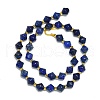 Natural Lapis Lazuli Beads Strands G-I376-B15-01-2