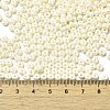 Baking Paint Luster Glass Seed Beads X-SEED-B001-04A-11-4