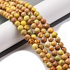 Dyed Natural Regalite/Imperial Jasper/Sea Sediment Jasper Beads Strands G-B124-C02-04-2
