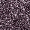 MIYUKI Delica Beads SEED-X0054-DB0462-3