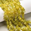 Natural Olive Jade Chip Bead Strands G-M205-30-1