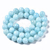 Natural Dyed Yellow Jade Gemstone Bead Strands G-R271-10mm-Y04-3
