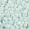 Opaque Colours Luster Glass Seed Beads SEED-P008-01C-04-2