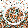 Baking Paint Glass Seed Beads SEED-N007-02I-2