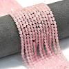 Natural Rose Quartz Beads Strands G-A260-A06-01-1