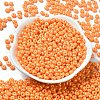 Baking Paint Luster Glass Seed Beads X1-SEED-B001-04A-10-2