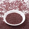 MIYUKI Round Rocailles Beads X-SEED-G007-RR1089-2