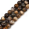 Natural Zebra Jasper Beads Strands G-F792-C13-01-2