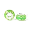 Rondelle Resin European Beads RPDL-A001-01-09-3