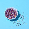 Glass Seed Beads SEED-SZ0001-004-3
